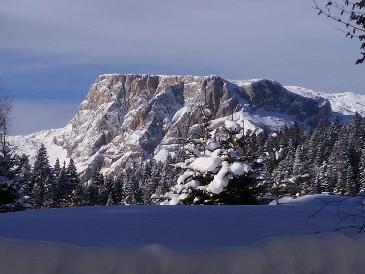 Apartment Durmitor Žabljak Esterno foto