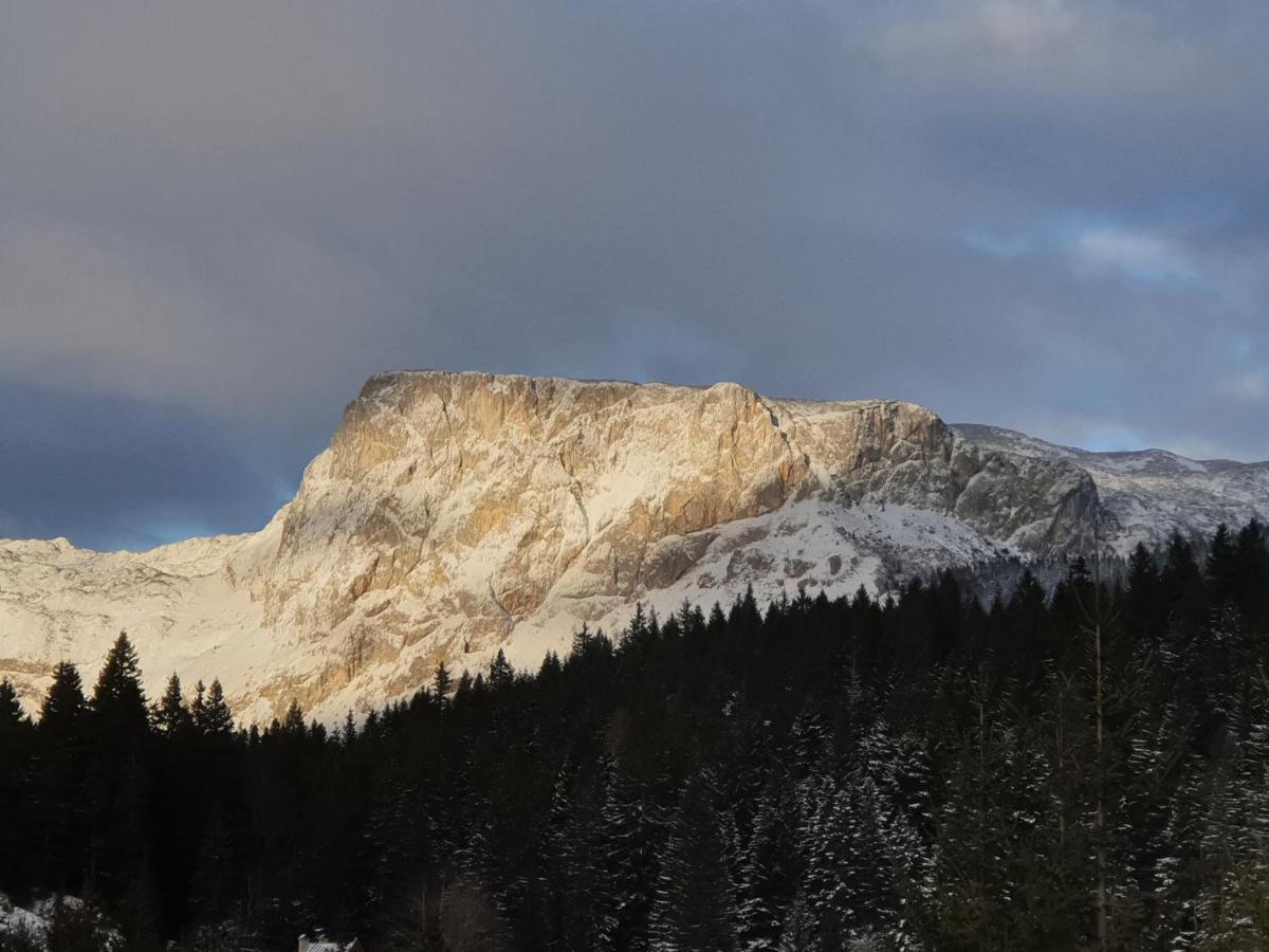 Apartment Durmitor Žabljak Esterno foto